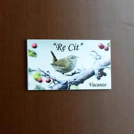 Lägenhet Re Cit Diano dʼAlba